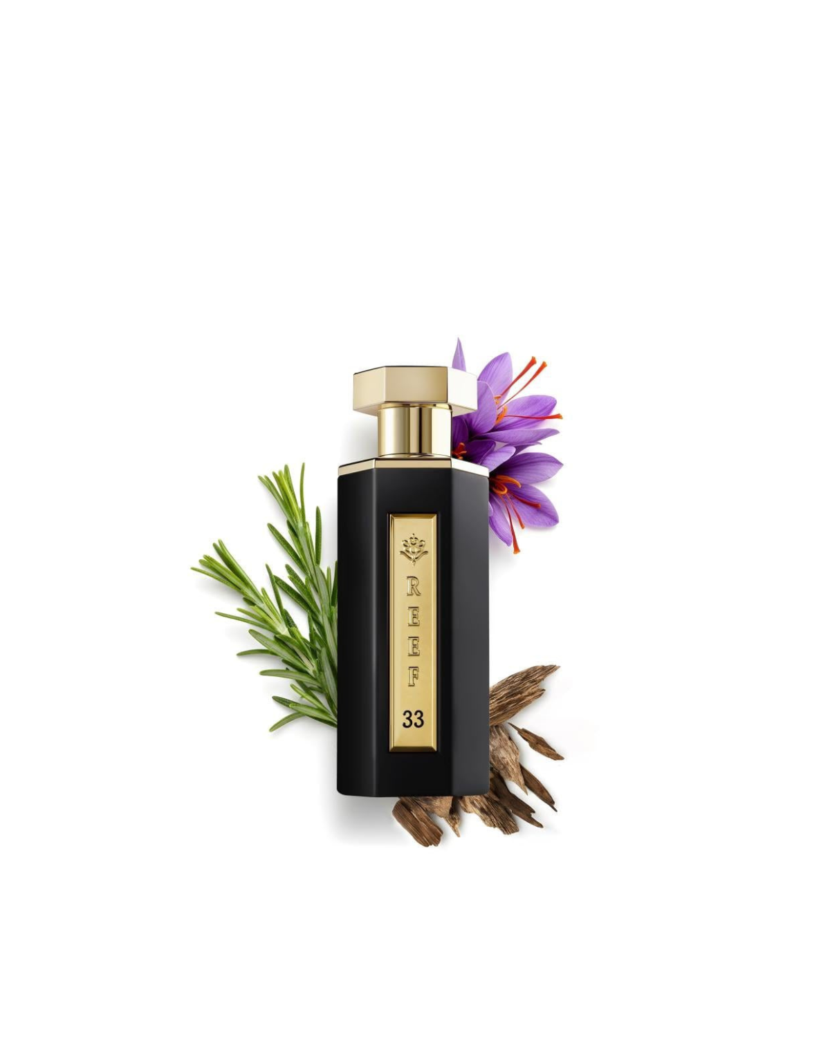 Reef 33 Perfume